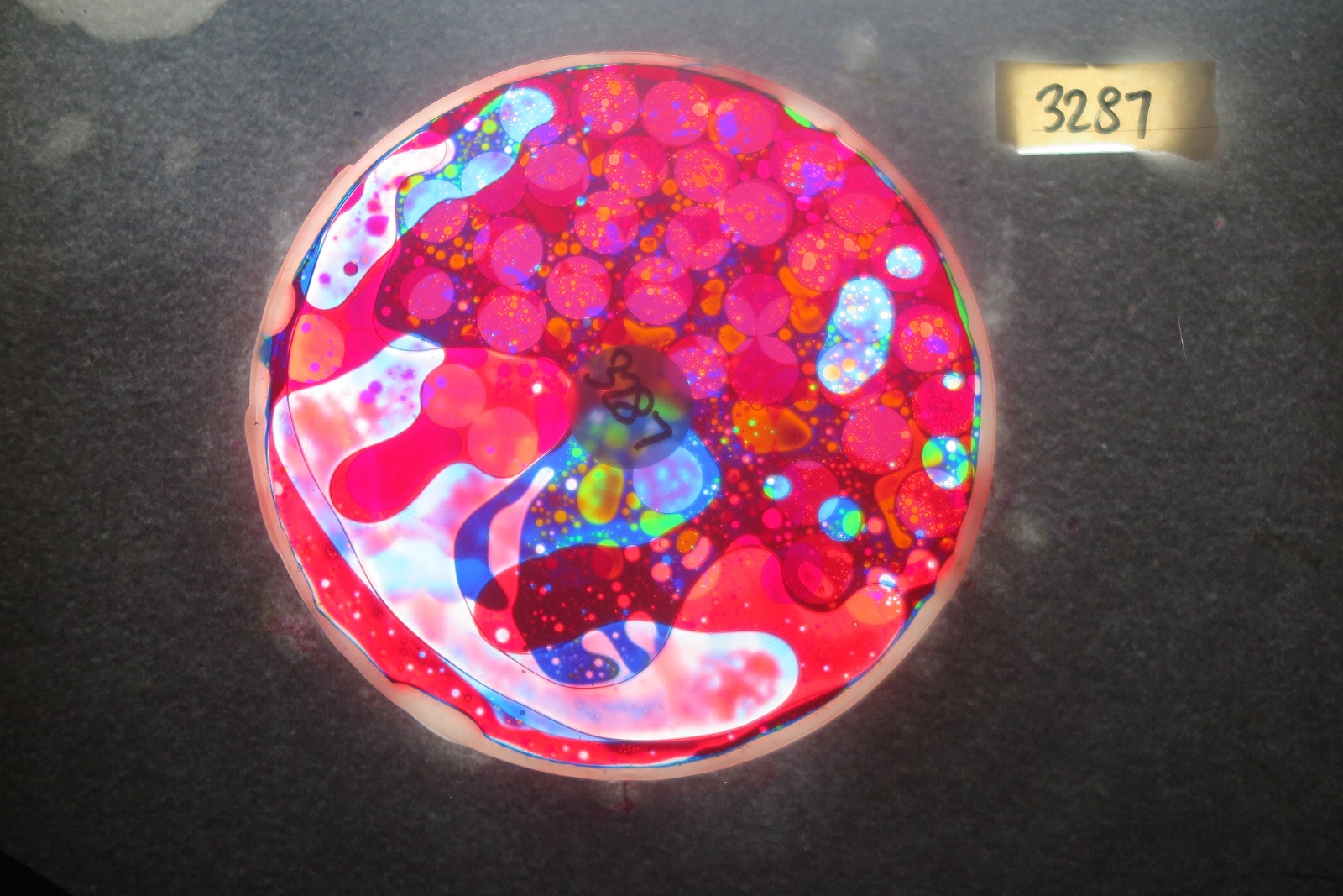 BV3287 bubble vision oil wheel